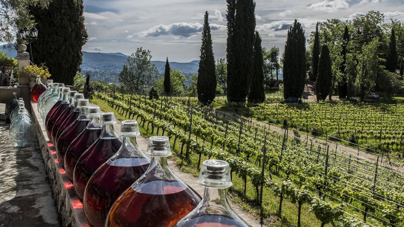 Domaine des Hautes Collines vineyard in Saint-Jeannet near Nice